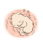 キンクマのもた2（個別スタンプ：8）
