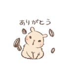 キンクマのもた2（個別スタンプ：24）