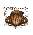 C.C's Leopard Cat（個別スタンプ：4）