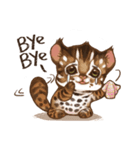 C.C's Leopard Cat（個別スタンプ：8）
