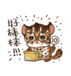 C.C's Leopard Cat（個別スタンプ：10）