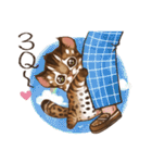 C.C's Leopard Cat（個別スタンプ：12）