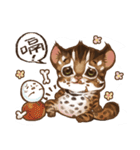 C.C's Leopard Cat（個別スタンプ：13）