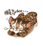 C.C's Leopard Cat（個別スタンプ：17）