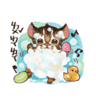 C.C's Leopard Cat（個別スタンプ：20）