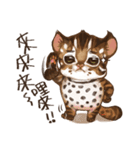 C.C's Leopard Cat（個別スタンプ：26）