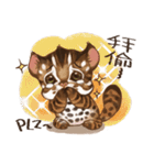 C.C's Leopard Cat（個別スタンプ：28）