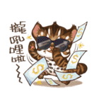 C.C's Leopard Cat（個別スタンプ：29）