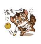 C.C's Leopard Cat（個別スタンプ：31）