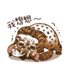 C.C's Leopard Cat（個別スタンプ：35）