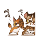 C.C's Leopard Cat（個別スタンプ：36）