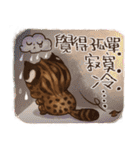 C.C's Leopard Cat（個別スタンプ：37）