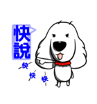 White dog with Red cravat（個別スタンプ：12）