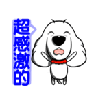 White dog with Red cravat（個別スタンプ：19）