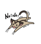 I love sugar gliders（個別スタンプ：24）