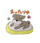 ぴんちゃんのつぶやき（個別スタンプ：8）