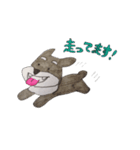 ぴんちゃんのつぶやき（個別スタンプ：30）