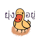 Frisky  duck（個別スタンプ：17）