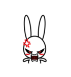 bunny D（個別スタンプ：13）
