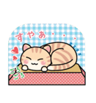 ねこ君の明るい日常（個別スタンプ：3）