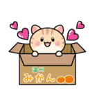 ねこ君の明るい日常（個別スタンプ：13）