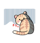 ねこ君の明るい日常（個別スタンプ：15）