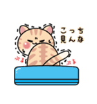 ねこ君の明るい日常（個別スタンプ：24）