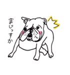 脱力犬（個別スタンプ：2）