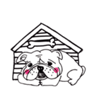 脱力犬（個別スタンプ：12）