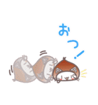 くり猫のひとこと4パターン（個別スタンプ：16）