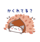 くり猫のひとこと4パターン（個別スタンプ：19）