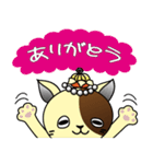 E.L.F.（エルフ）ねこ（個別スタンプ：26）