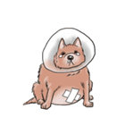 Fat Dog Gangster！ (ENG)（個別スタンプ：6）