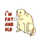 Fat Dog Gangster！ (ENG)（個別スタンプ：9）