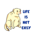 Fat Dog Gangster！ (ENG)（個別スタンプ：12）