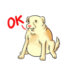 Fat Dog Gangster！ (ENG)（個別スタンプ：21）