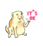 Fat Dog Gangster！ (ENG)（個別スタンプ：23）