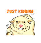 Fat Dog Gangster！ (ENG)（個別スタンプ：24）