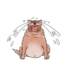 Fat Dog Gangster！ (ENG)（個別スタンプ：32）