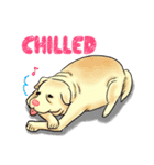 Fat Dog Gangster！ (ENG)（個別スタンプ：38）