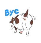 Fat Dog Gangster！ (ENG)（個別スタンプ：40）