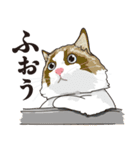 愉快なニャンコの仲間達03（個別スタンプ：3）