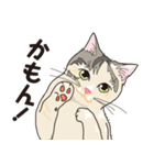 愉快なニャンコの仲間達03（個別スタンプ：8）