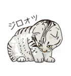 愉快なニャンコの仲間達03（個別スタンプ：9）