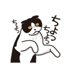愉快なニャンコの仲間達03（個別スタンプ：11）