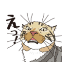 愉快なニャンコの仲間達03（個別スタンプ：12）