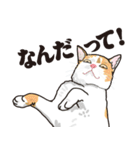 愉快なニャンコの仲間達03（個別スタンプ：19）