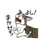愉快なニャンコの仲間達03（個別スタンプ：27）