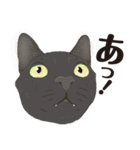愉快なニャンコの仲間達03（個別スタンプ：31）