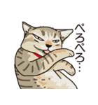 愉快なニャンコの仲間達03（個別スタンプ：35）